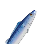 Illustre seigneur des mers Genshin Impact